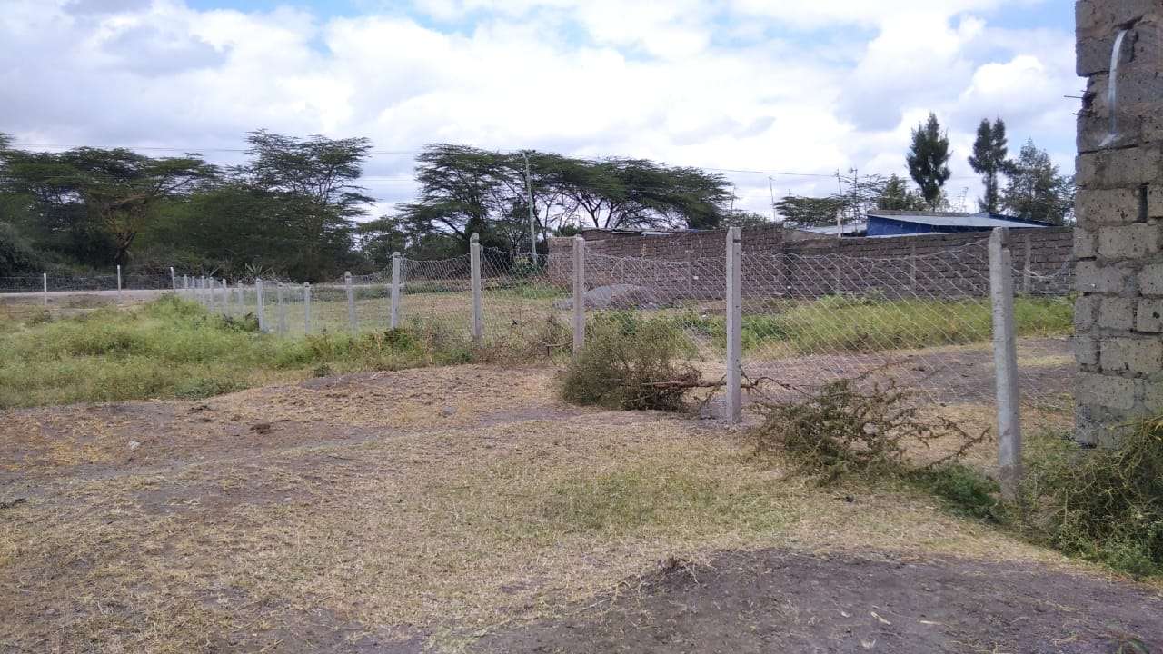 Security Fence