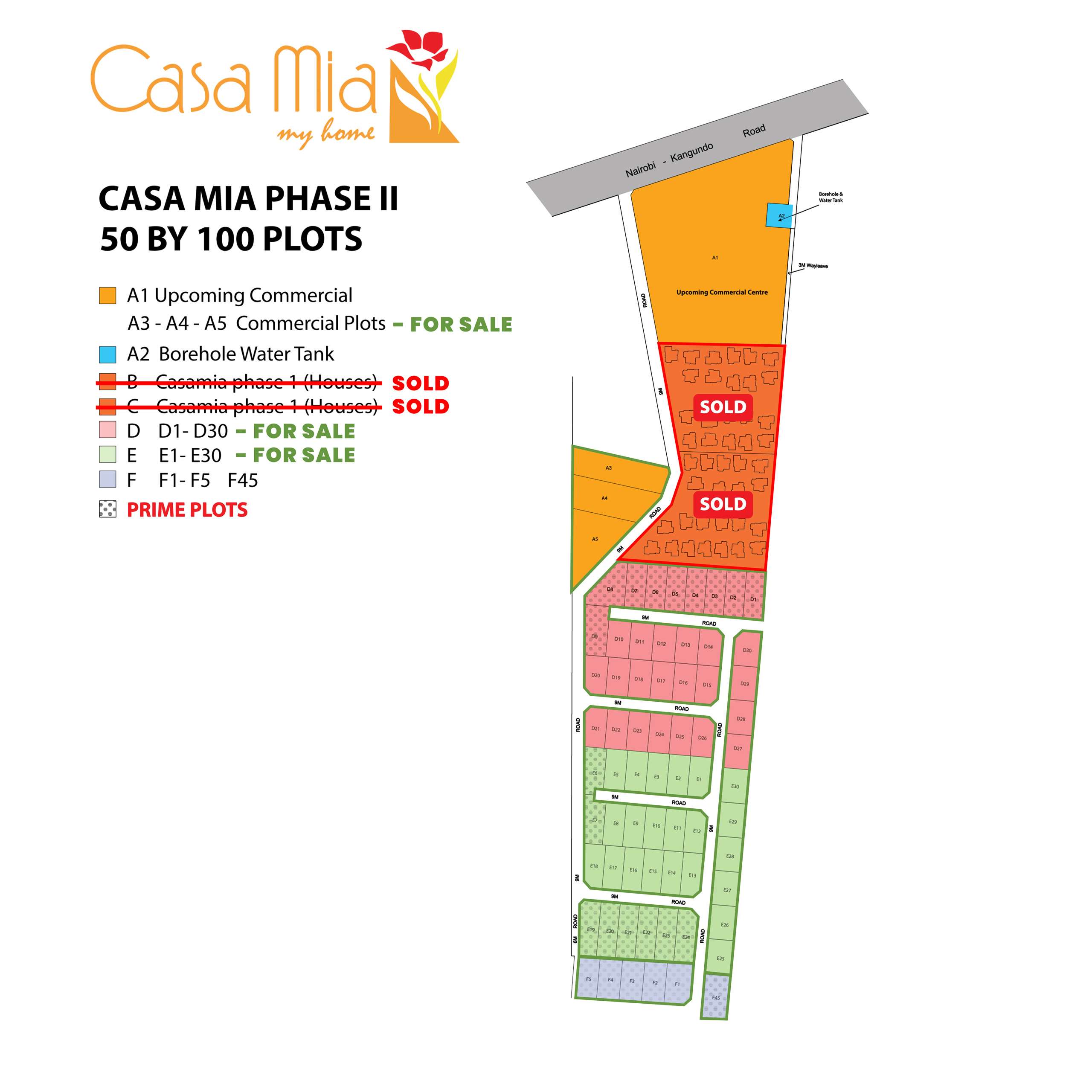 Court Layout